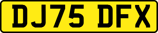 DJ75DFX