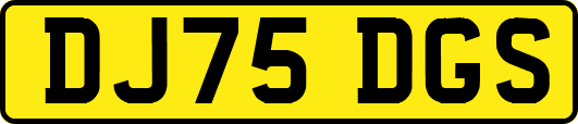 DJ75DGS