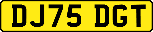DJ75DGT