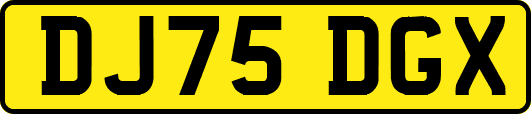 DJ75DGX