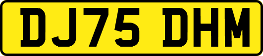 DJ75DHM