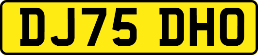 DJ75DHO