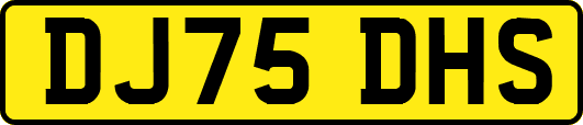 DJ75DHS