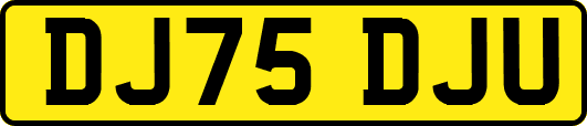 DJ75DJU
