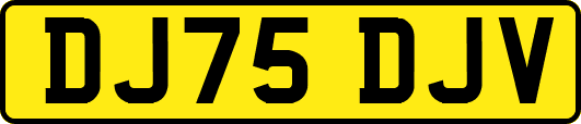 DJ75DJV