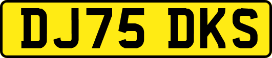 DJ75DKS