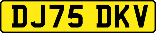 DJ75DKV