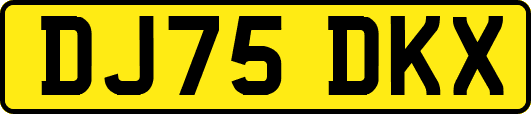 DJ75DKX