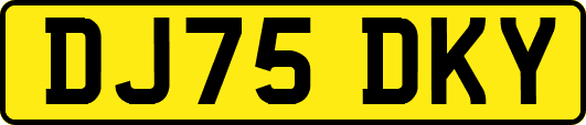 DJ75DKY
