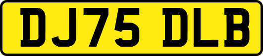 DJ75DLB