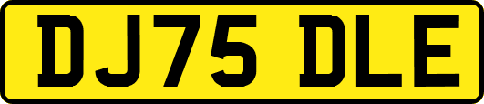 DJ75DLE