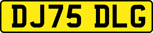 DJ75DLG