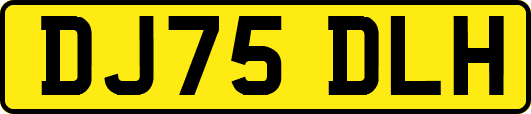 DJ75DLH