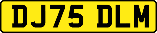 DJ75DLM