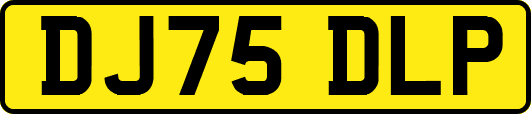 DJ75DLP
