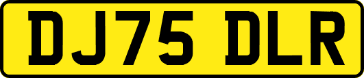 DJ75DLR