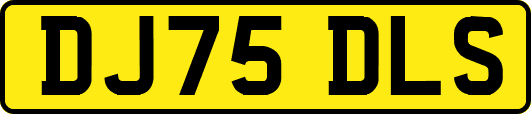 DJ75DLS