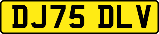 DJ75DLV