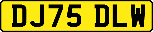 DJ75DLW