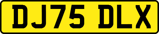 DJ75DLX