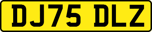 DJ75DLZ