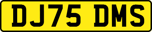 DJ75DMS