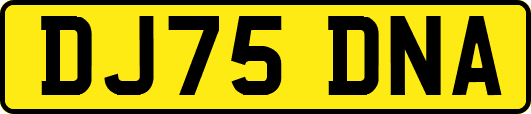 DJ75DNA