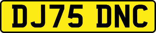 DJ75DNC