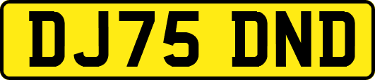 DJ75DND