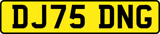DJ75DNG