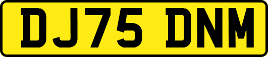 DJ75DNM