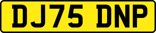 DJ75DNP