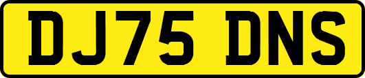 DJ75DNS