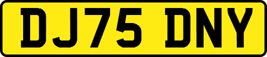 DJ75DNY
