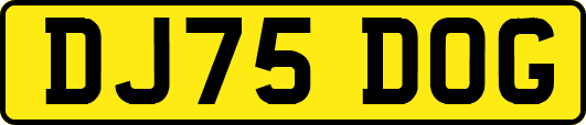 DJ75DOG