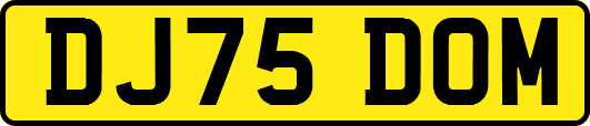 DJ75DOM