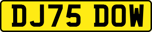 DJ75DOW