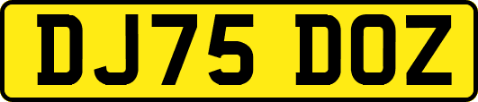 DJ75DOZ