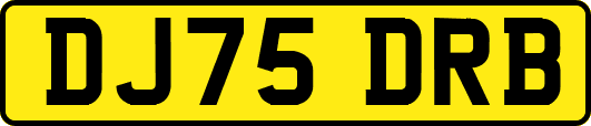 DJ75DRB