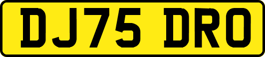 DJ75DRO