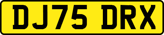 DJ75DRX
