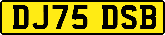 DJ75DSB