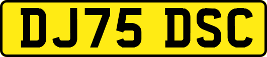 DJ75DSC