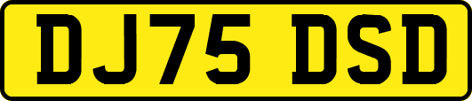 DJ75DSD