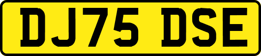 DJ75DSE