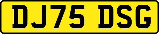 DJ75DSG
