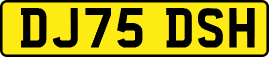 DJ75DSH
