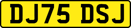DJ75DSJ