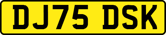 DJ75DSK