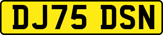 DJ75DSN